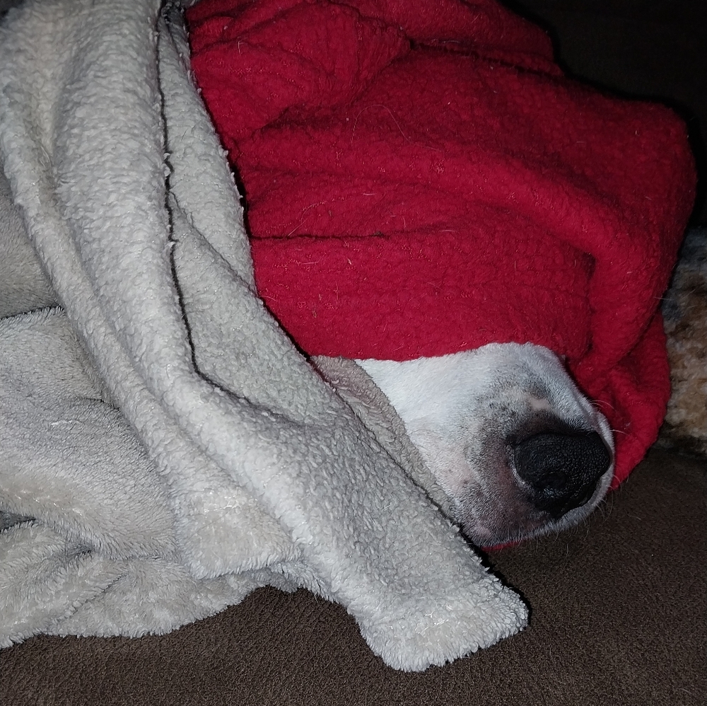Lost my sweater